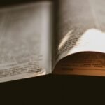 insight reference capsule numbers