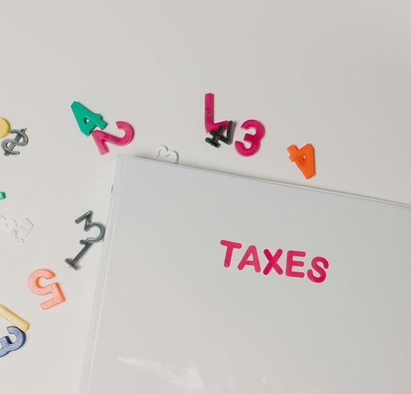 numeric insight file details