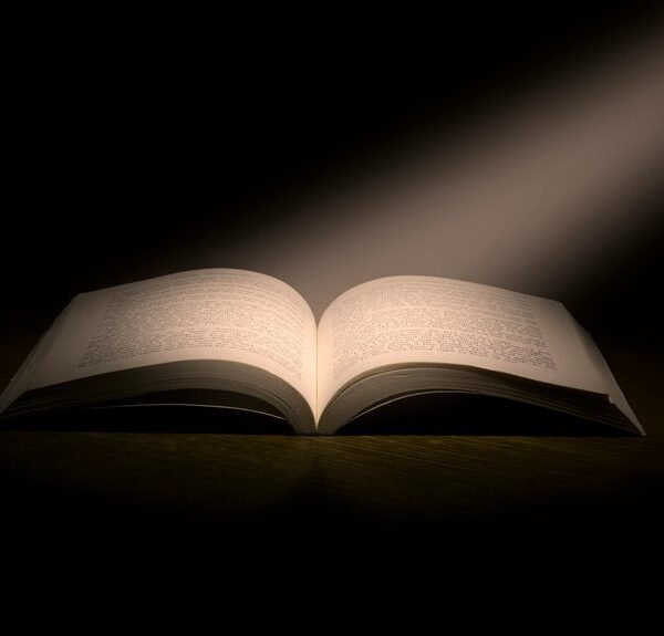 prime insight ledger details