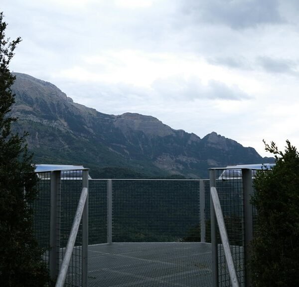 Elevate Your Services 983570549 Online Platform